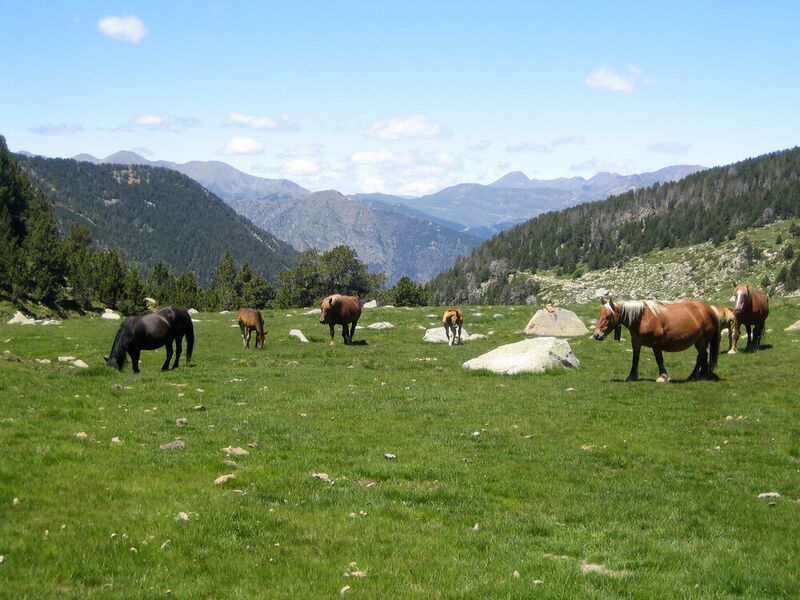 File:Madriu-Perafita-Claror Valley.jpg