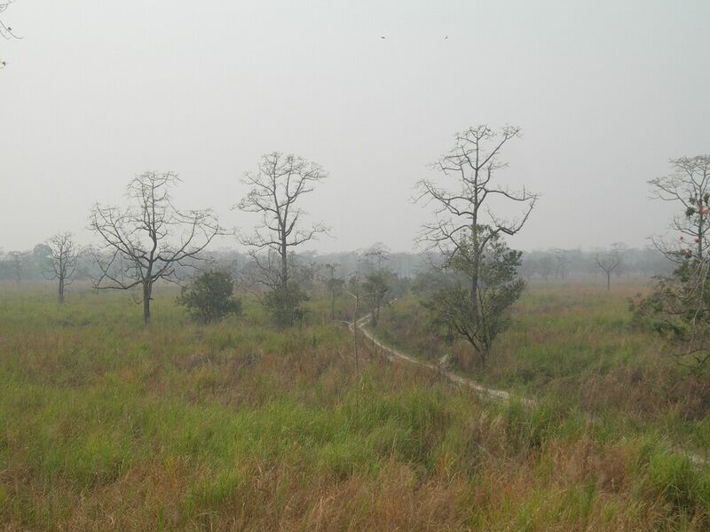 File:Manas5.jpg