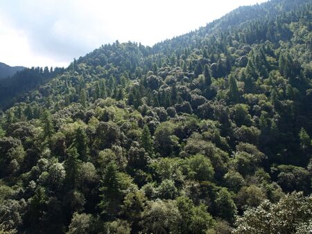 Great Himalayan National Park4.jpg