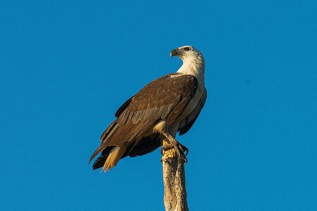 Kakadu National Park4.jpg