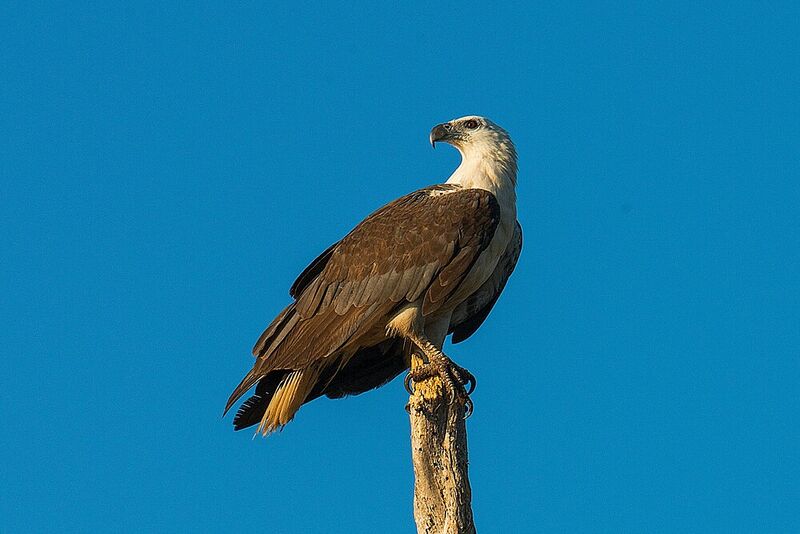 File:Kakadu National Park4.jpg