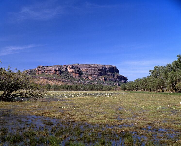 File:Kakadu National Park.jpg