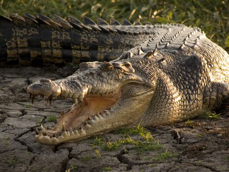 Kakadu National Park1.jpg